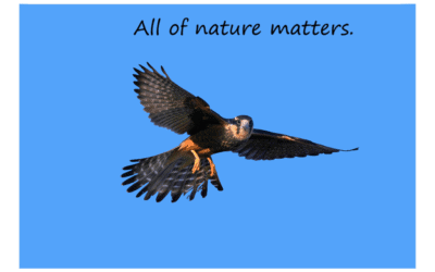 All of nature matters.