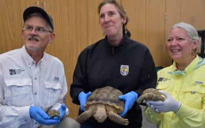 US Fish and Wildlife Service Director Martha Williams visits Bolson tortoise project.