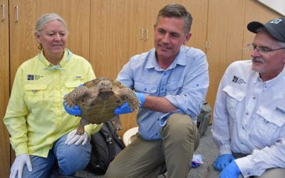US Senator Martin Heinrich visits Bolson tortoise project.